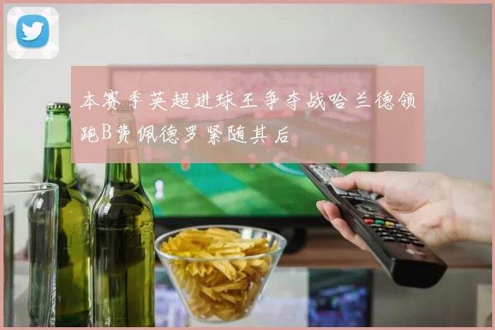 本赛季英超进球王争夺战哈兰德领跑B费佩德罗紧随其后